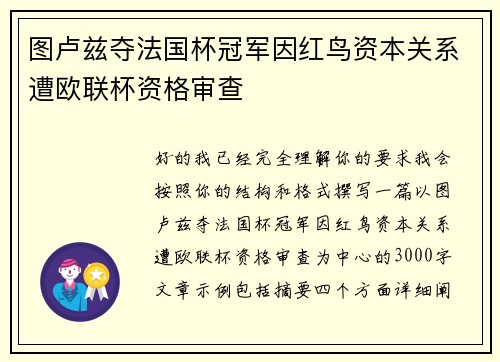 图卢兹夺法国杯冠军因红鸟资本关系遭欧联杯资格审查